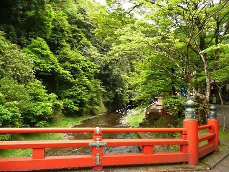 c0057946_2248015.jpg
