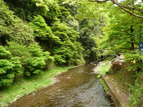 c0057946_2248378.jpg