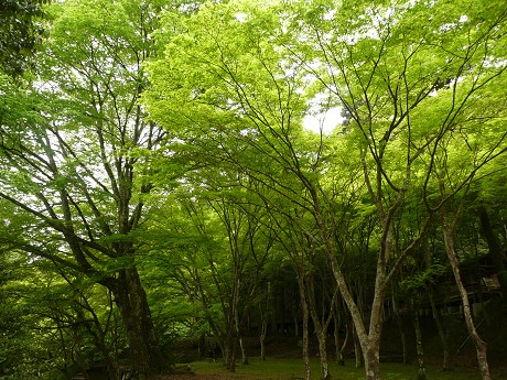 c0057946_22492986.jpg