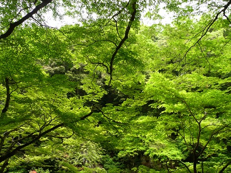 c0057946_224942.jpg