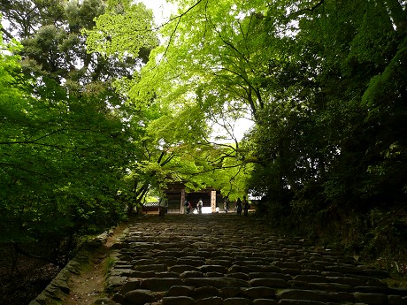 c0057946_22505941.jpg