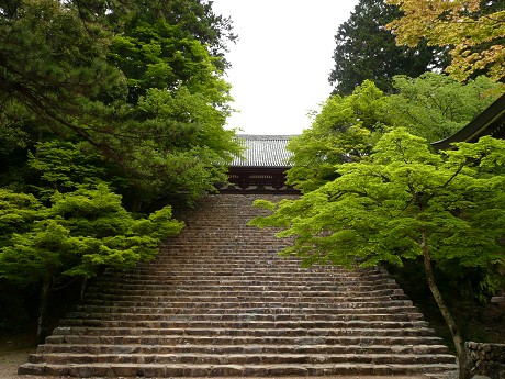 c0057946_22522743.jpg