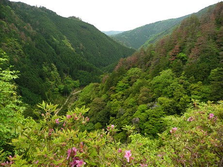 c0057946_22533033.jpg