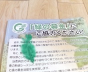 e0150849_8423092.jpg