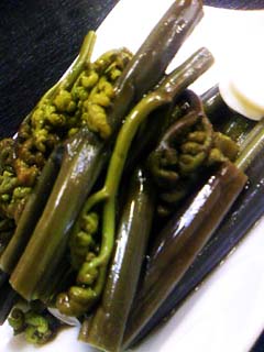 a0041150_0424215.jpg
