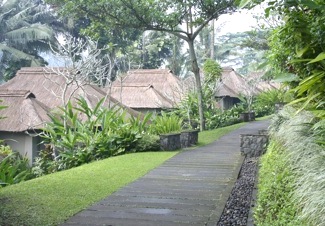 b0025850_02431.jpg
