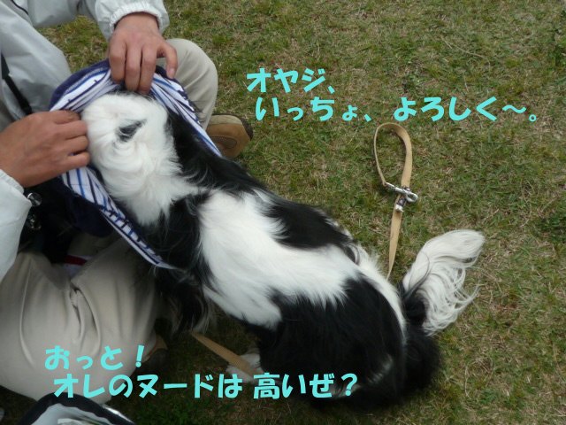 e0176159_14544132.jpg