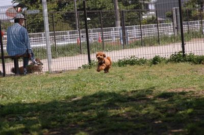 c0170761_1625636.jpg
