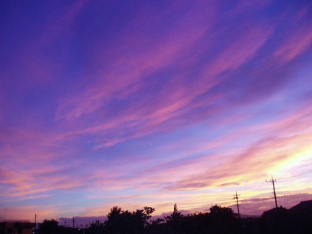 b0183566_1571439.jpg