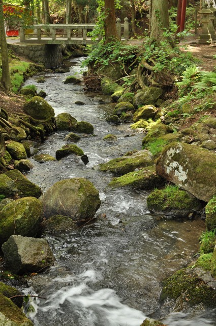c0048667_22561930.jpg