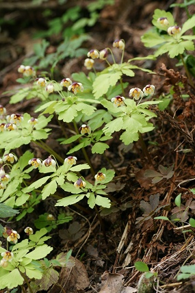 e0054067_23153853.jpg