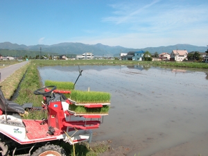 c0166668_1114381.jpg
