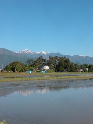 c0166668_1121538.jpg