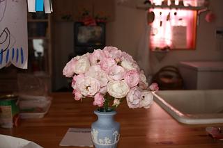 b0178169_10047.jpg