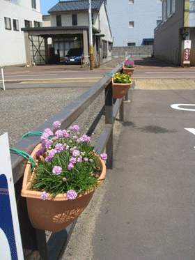 d0050871_1063188.gif