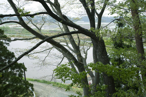 c0195281_1952173.jpg