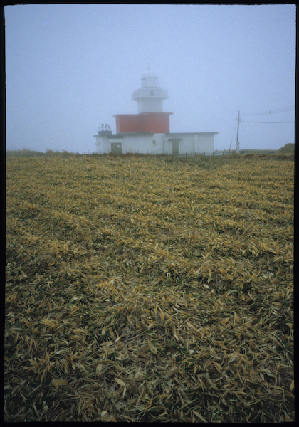 a0053783_828377.jpg