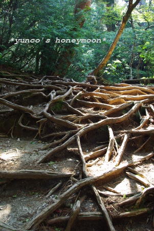 e0151483_162381.jpg