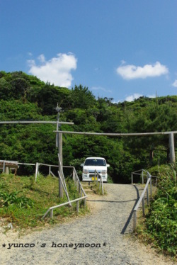 e0151483_8194210.jpg