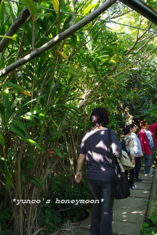 e0151483_8203330.jpg