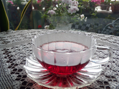 c0188784_17144448.jpg
