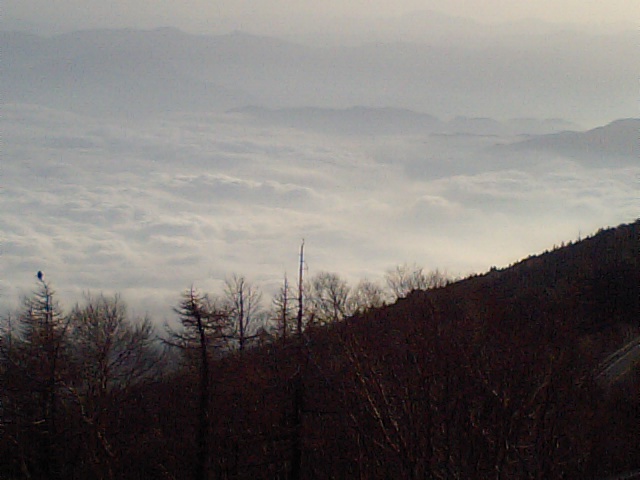 f0087787_21591057.jpg