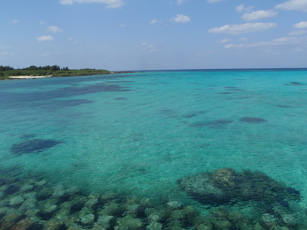c0018489_0293881.jpg