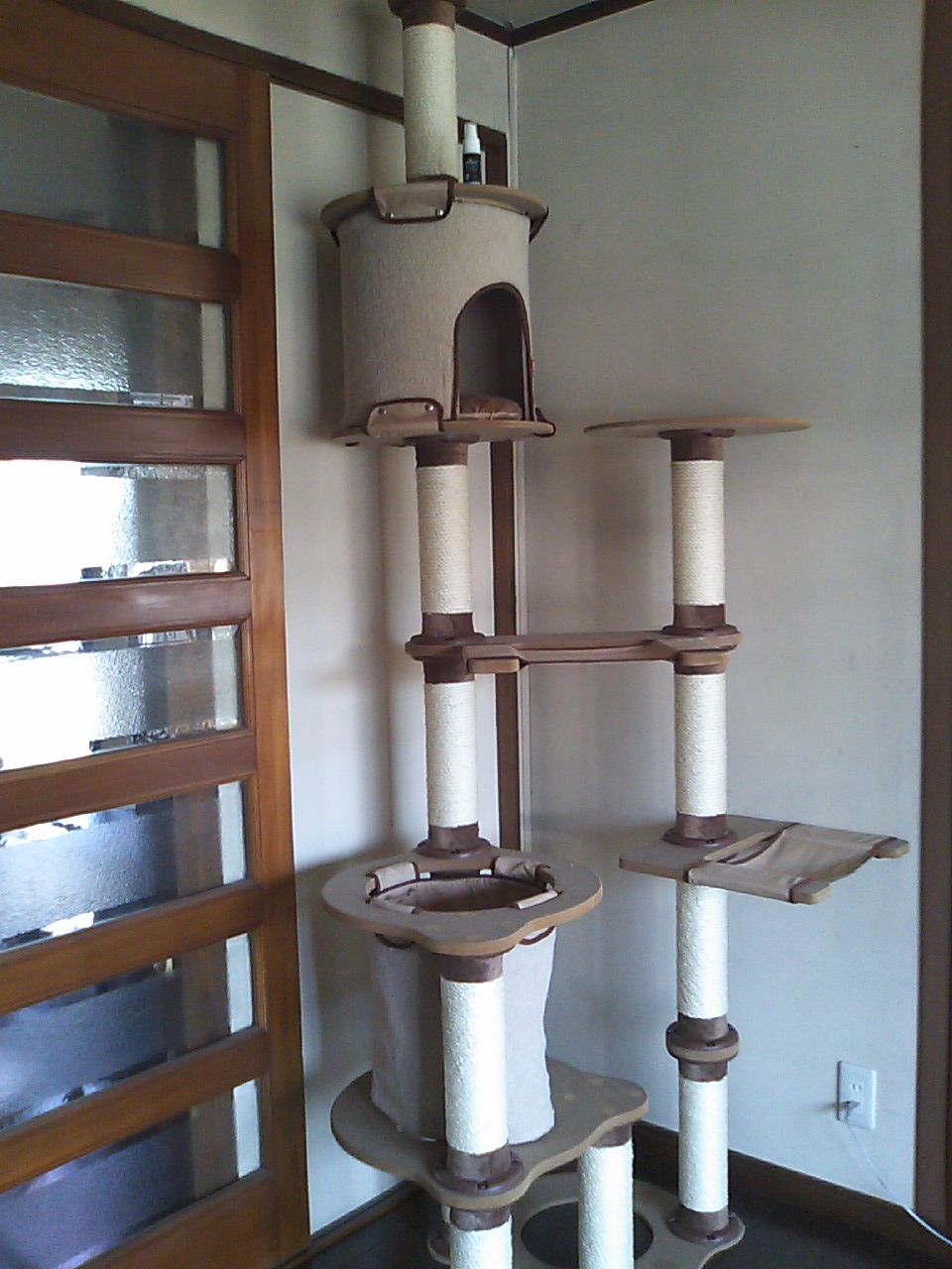 f0092389_14433932.jpg