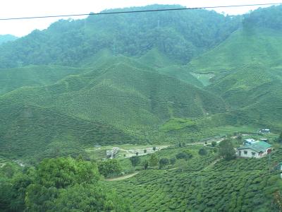c0123890_22265695.jpg