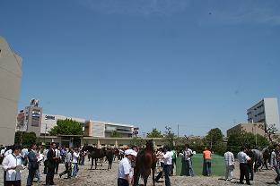 f0069890_083517.jpg