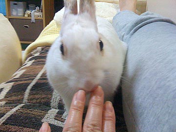 f0201191_12422359.jpg