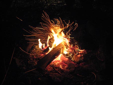 c0004193_19324071.jpg