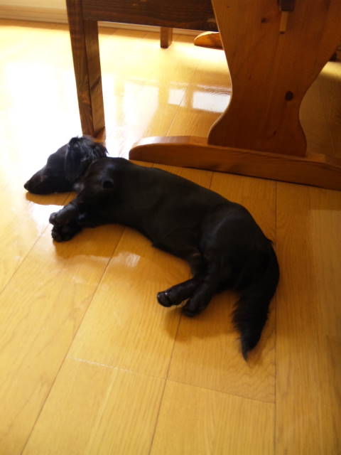 d0098295_018970.jpg