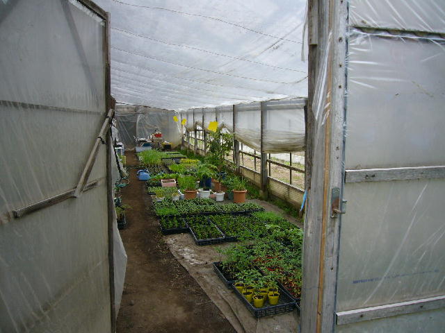 d0015096_13355355.jpg