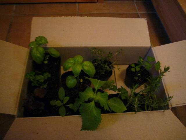d0015096_13372955.jpg