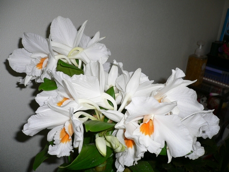 f0206596_18172779.jpg