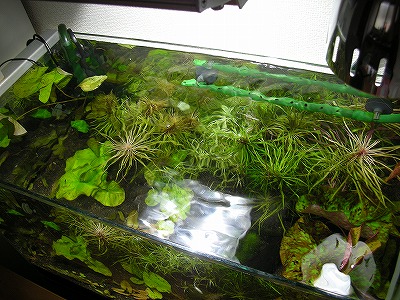 f0200298_16483068.jpg