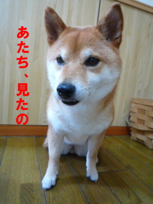 e0131506_0462732.jpg