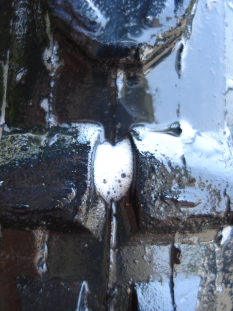 e0015108_23463546.jpg