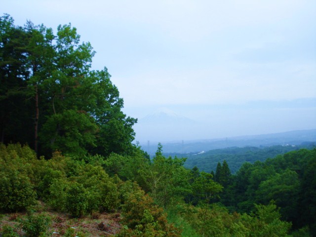 e0015108_7194487.jpg