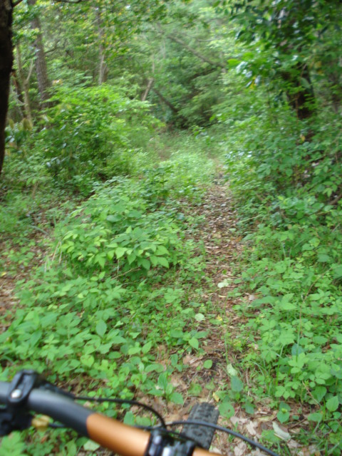 e0015108_7244826.jpg