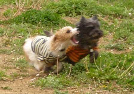 e0078510_15214227.jpg