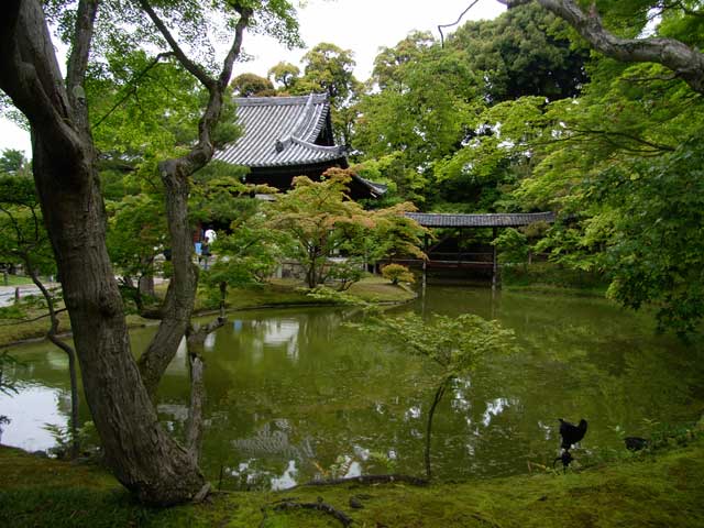e0049318_1331551.jpg