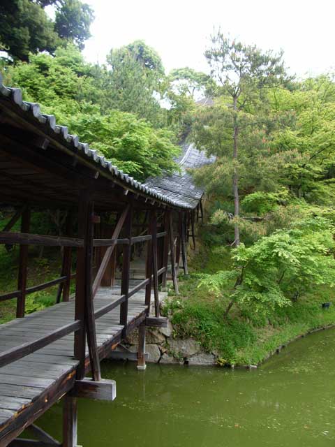 e0049318_13325377.jpg