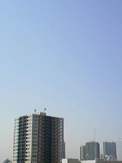 c0075725_934821.jpg