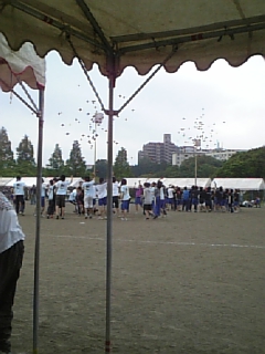 f0186726_200194.jpg