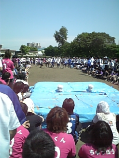 f0186726_21381813.jpg