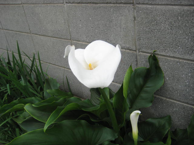 e0166032_2040798.jpg