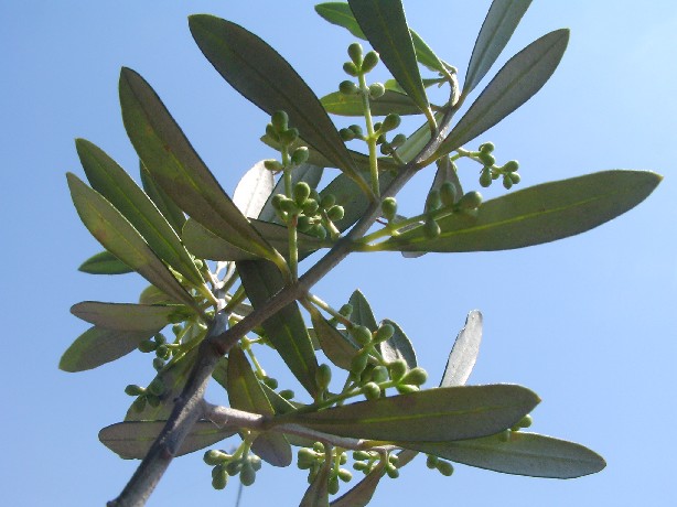 f0002833_13424098.jpg