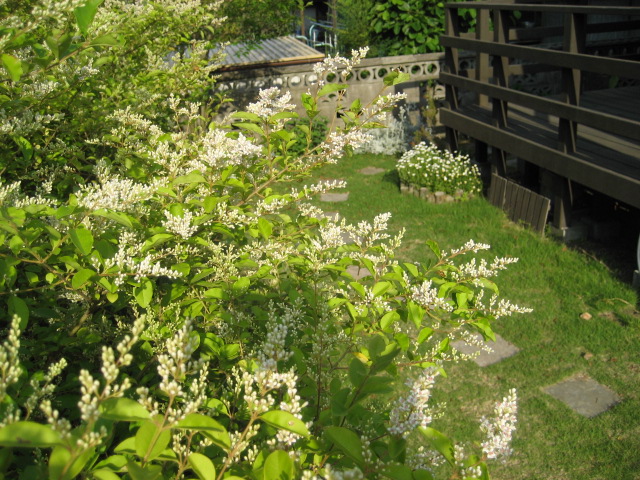 b0166435_16402261.jpg